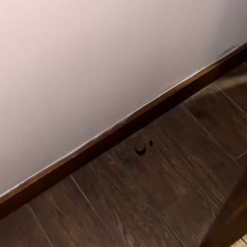 Hilton Garden Inn Otel Temizliği Ve Sorumsuzluk Hakkında Şikayet