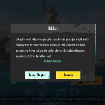 PUBG (Pubgmobile.com) Lütfen Yardım Edin.