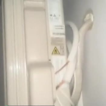 ECA Yetkili Servis Şikayeti