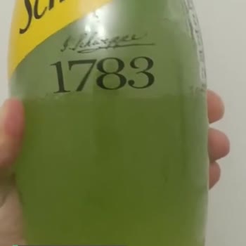 Schweppes Bitter Limon İçinde Yosun Ve Küf Benzeri Parçacıklar Var