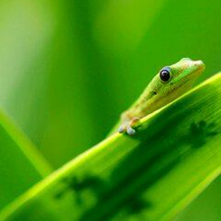Kuryenet Zamanında Gelmiyor Kargo