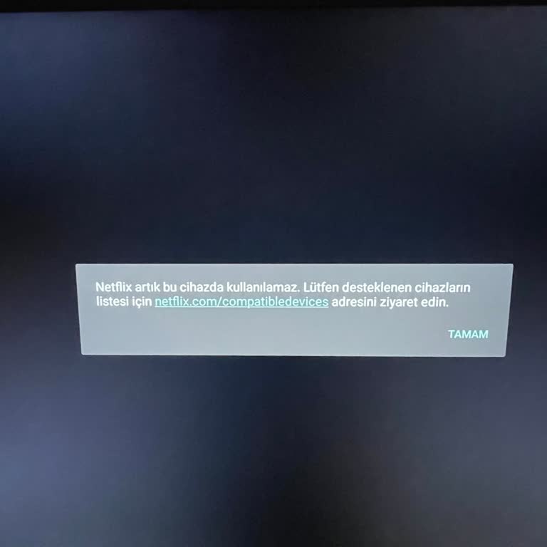 Onvo Netflix Le Giriş Yapamıyorum