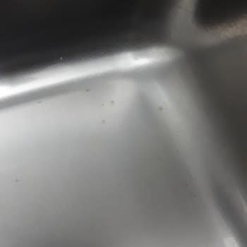 Ukinox Evyem Kullanmaya Başlamadan Paslandı