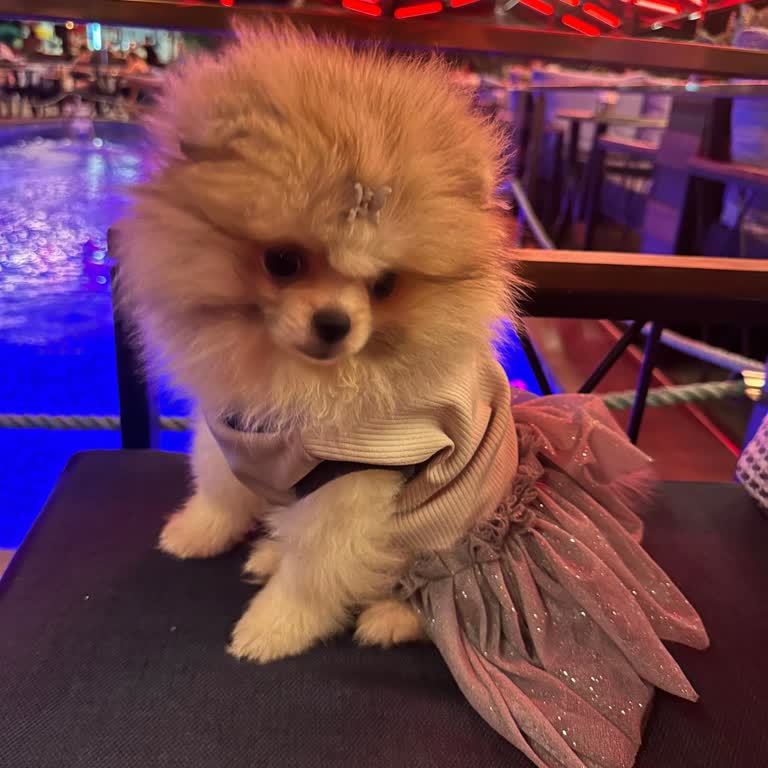 Ercan Burger Yemek Yemeye Gittiğimiz Mekandan Kovulduk