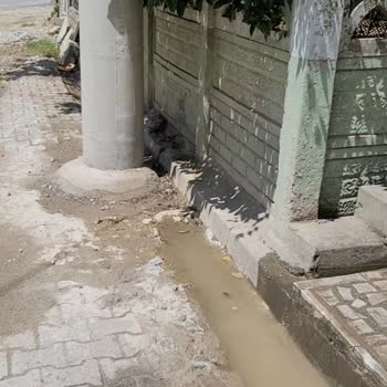 SEDAŞ Elektrik Direğini Su Arkına Dikti.