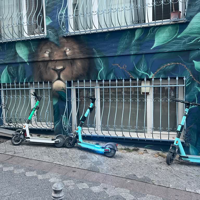 BinBin - Camlarımızın İşgali