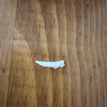 Torku Ayranda Plastik Parça Çıktı