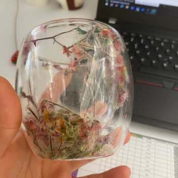 Elixstore Çiçekli Bardaktaki Çiçekler Küflendi.
