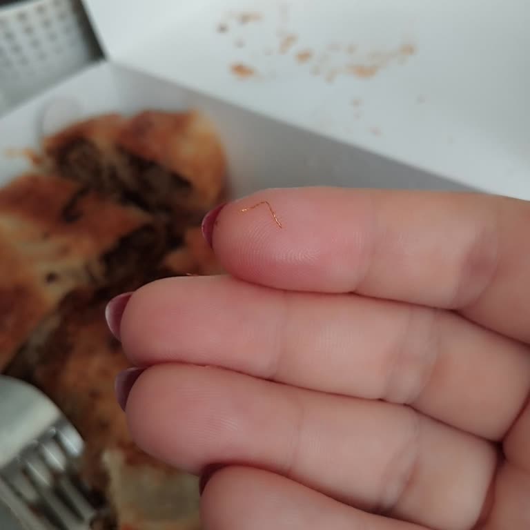 Seyran Pastanesinden Alınan Kıymalı Börek İçinden Tel Çıktı