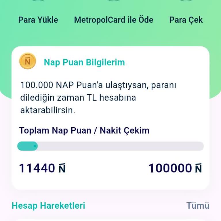 Napolyon.com Napolyon Anket Sitesi Ödemeleri Yapmıyor