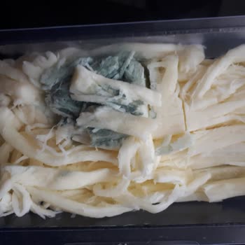 Migros Sanal Market Ten Aldığım Çeçil Peyniri Küflü Çıktı.