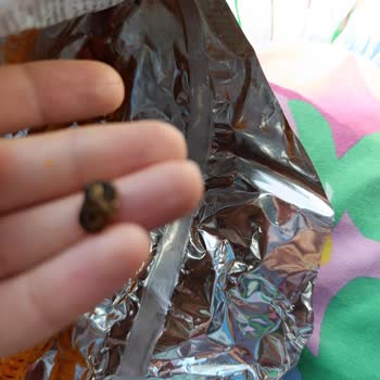 Patos Rolls Cips İçinden Siyah Sert Bir Cisim Çıktı