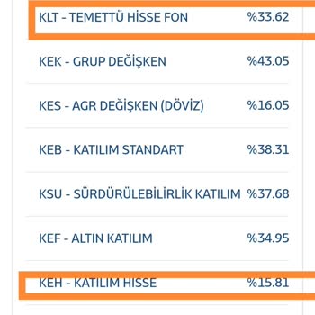 Katılım Emeklilik Fonları Zarar Ettiriyor