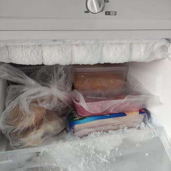 Dijitsu Deepfreze Kapak Kapanmıyor