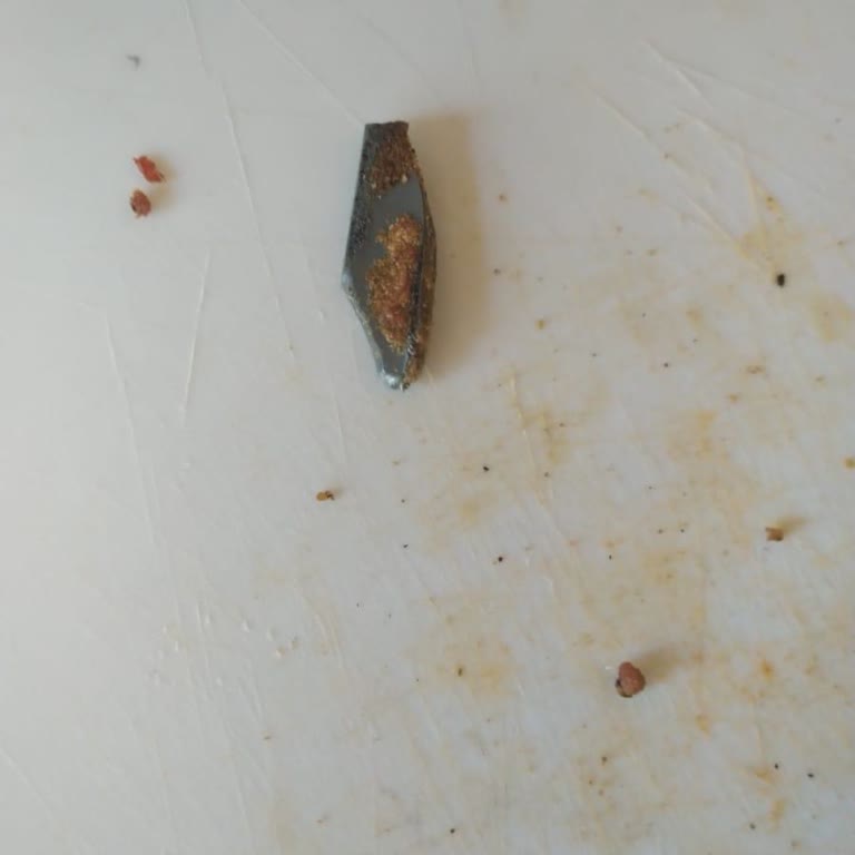 Su Et Lokantası Pİdeden Çıkan Parçalar!