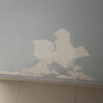 Bereket Sigorta Muhatap Yok Ve Dalga Geçer Gibi Ödeme Yapmışlar