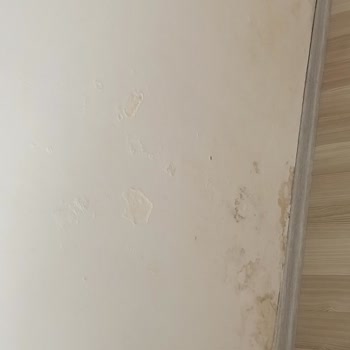 Bereket Sigorta Muhatap Yok Ve Dalga Geçer Gibi Ödeme Yapmışlar