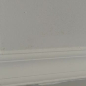 Bereket Sigorta Muhatap Yok Ve Dalga Geçer Gibi Ödeme Yapmışlar