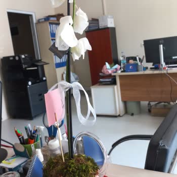 Çiçek Sepeti Uygunsuz Ürün Gönderdi