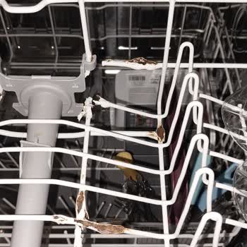 Arçelik Bulaşık Makinesi Sepet Paslanması