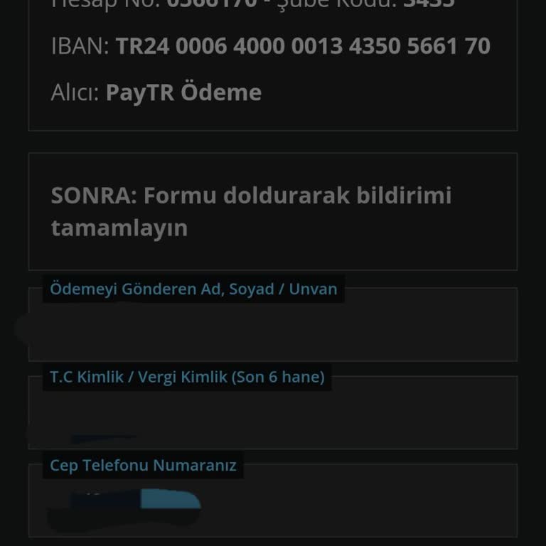 Paytr Havale/EFT Sorunu Yaşıyorum