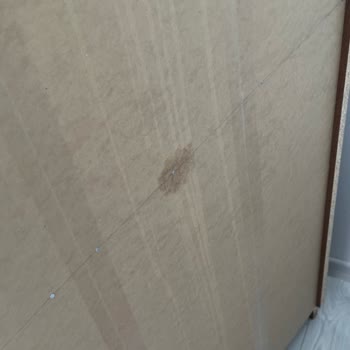 Samsung Klima Su Sızıntısı Ve Hasar Sorunu