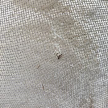 Yüksel Un Ve İçinden Çıkanlar