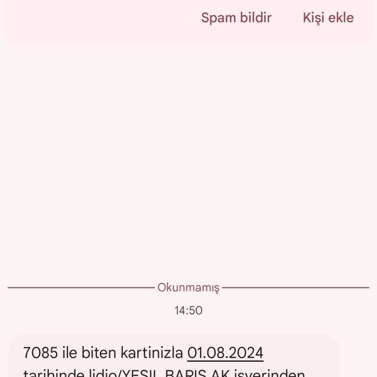 Lidio Ödeme Hizmetleri İş Bankası Kredi Kartımdan Yetkisiz Çekim Girişimi