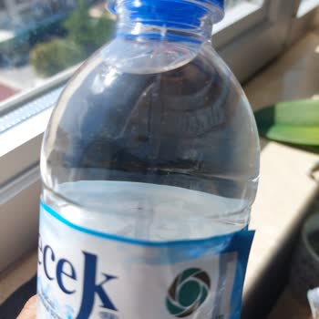 Açılmamış Gecek Suların İçindeki Uçan Kahverengi Parçalar