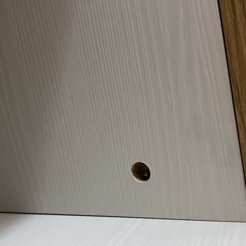 Yataş Enza Home Ve Horoz Lojistik Kurulum Ve Deformasyon Sorunları.