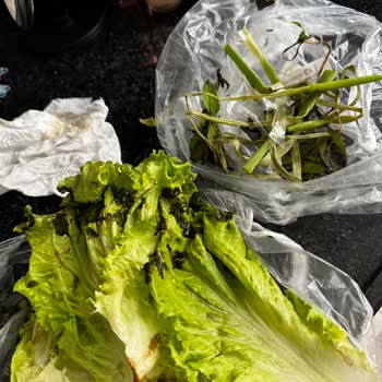 Arçelik Buzdolabının Arızasının Giderilememesi