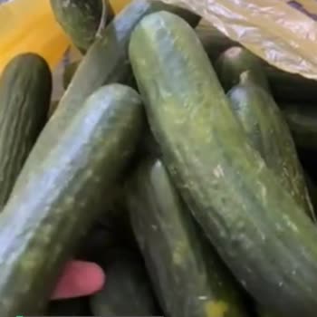Şok Marketler Kauçuk Yumuşak Salatalık Gönderildi
