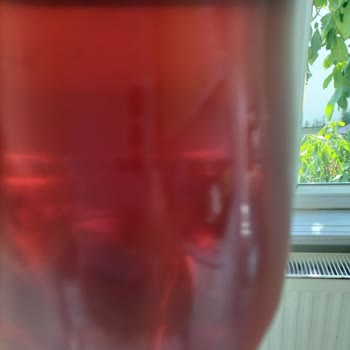 Didi İçeceğin İçindekiler Ney.!