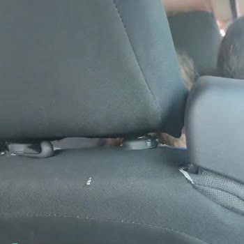Özlem Cizre Nuh Turizm Şikayetçi Yolcular
