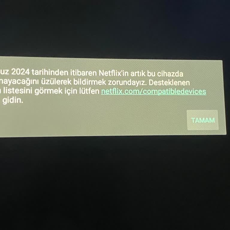 Skytech Netflix Kapatması Mağdur Durumdayım.