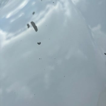 Elazığ Nissan Karabulut Servis Hatası