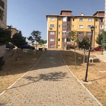 TOKİ Site Yönetimi Şikayet