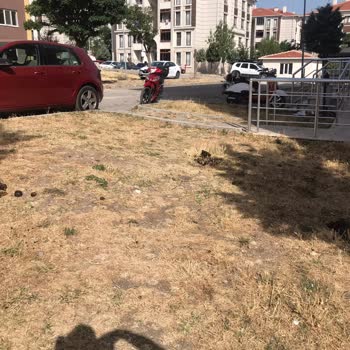 TOKİ Site Yönetimi Şikayet