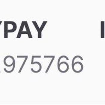 MoneyPay'in Kullanıcısının Parasına 1 Aydır El Koymuş Olması