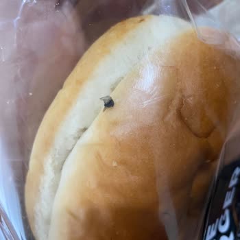 UNO Hamburger Ekmeğinde Sinek