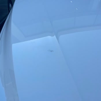 İzmir Volkswagen Avek Ayıplı Defolu Sıfır Araç Satmaya Çalışması