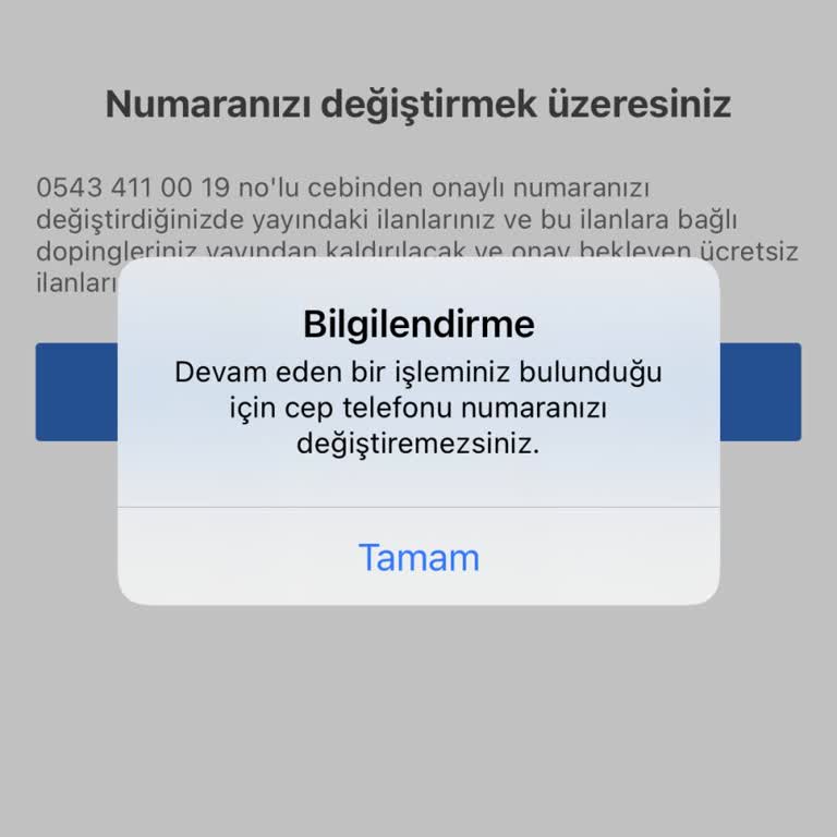 Sahibinden Numara Güncelleme Olmuyor