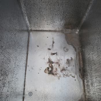 Vestel Dondurucu İçinde Siyah Leke