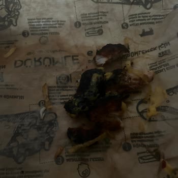 Dürümle Kömür Olmuş Tavuk Şiş