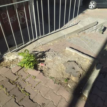 İBB - İstanbul Büyükşehir Belediyesi Binamın Önündeki Ağaçları İzinsiz Kesildi Ve Kaldırımlar Tahrip Edildi