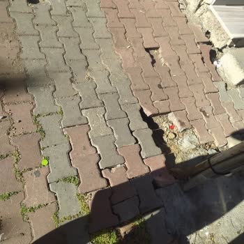 İBB - İstanbul Büyükşehir Belediyesi Binamın Önündeki Ağaçları İzinsiz Kesildi Ve Kaldırımlar Tahrip Edildi