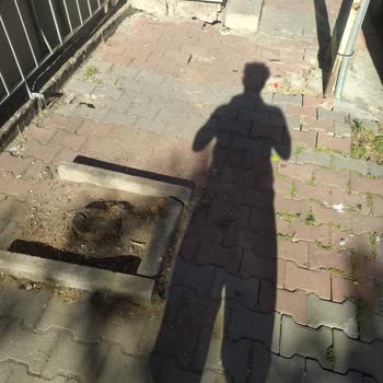 İBB - İstanbul Büyükşehir Belediyesi Binamın Önündeki Ağaçları İzinsiz Kesildi Ve Kaldırımlar Tahrip Edildi