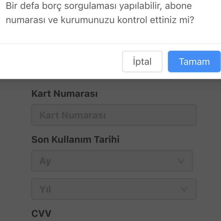 E-Devlet (Turkiye.gov.tr) Elektrik Yardımı İle Fatura Ödemesi Yapamıyorum
