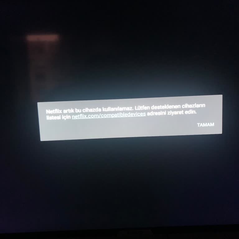 Onvo Marka TV Netflix Desteklemiyor