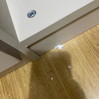 Doğtaş Mobilya Dolap Kurulumu İçin Gelen Ekip